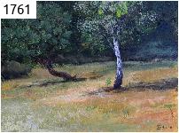 Pini e betulle su lago  Chechło-Nakło